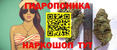 круглые Новозыбков