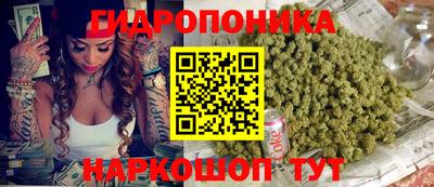 круглые Новозыбков