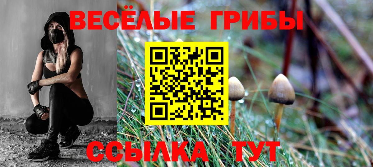 Советская Гавань  Галлюциногенные грибы Cubensis  Вход с VPN 